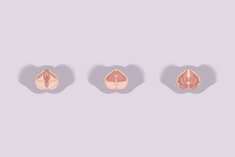 Artikelbild: Beckenboden – was ist das?