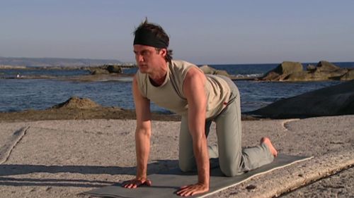Vorschaubild: Hatha Yoga mit Ralf Bauer - Einsteiger-Kurs 1