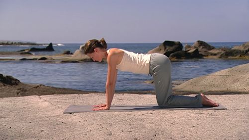 Vorschaubild: Hatha Yoga mit Ralf Bauer - Rückenyoga