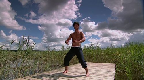 Vorschaubild: Tai Chi & Qigong - Komplettkurs