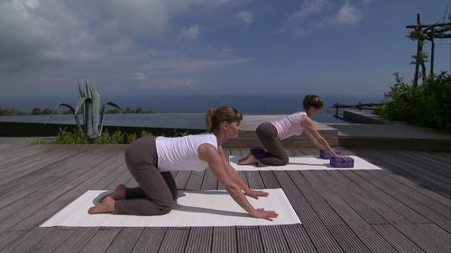 Vorschaubild: TriYoga - kleine Yoga-Oase