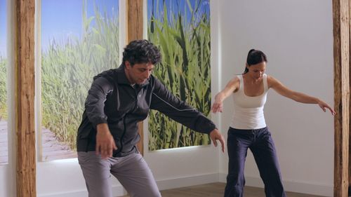 Vorschaubild: QiGong - Basistraining